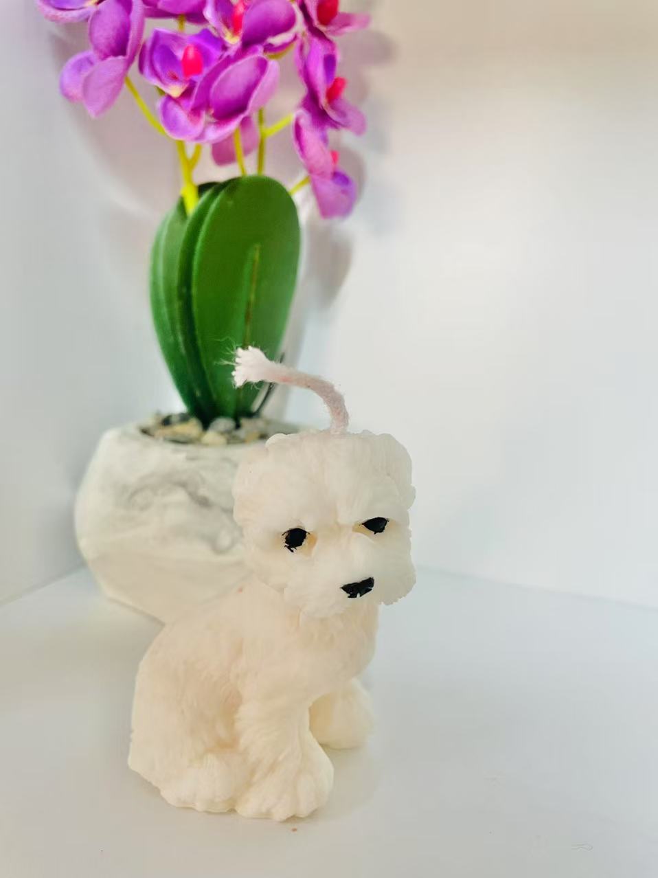 Image_20250404173453
